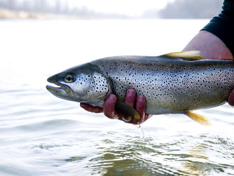 Parcours pêche « 1 poisson » sur la Leysse dans Chambéry