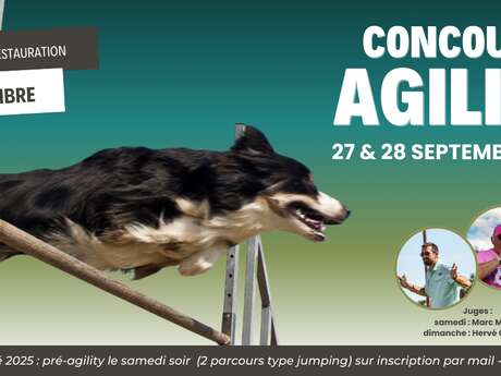 Agility competition