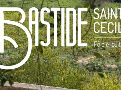 Bastide Sainte Cécile Pôle E-culturel - Exposition d'art "La P'tite Mésange"