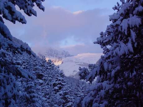 Snowshoeing with the Mercantour guides