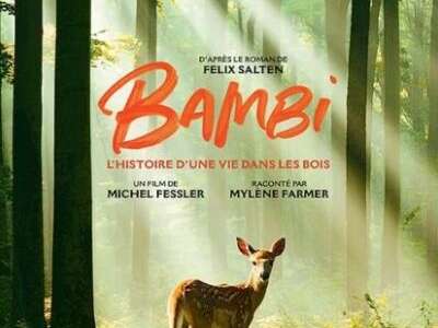 Diffusion Musée Micro-Folie - Bambi