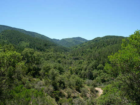 Randonnée nature & patrimoine commentée "A la découverte du Decauville"