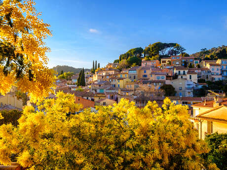 Hilios Tours : Journée sur-mesure