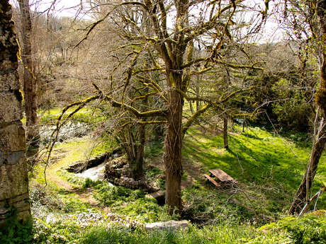 Aire de pique-nique de Saint-Symphorien