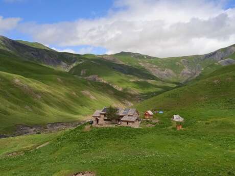 Week end plantes comestibles au Refuge du Pic du Mas de La Grave