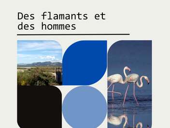 Conférence : Des flamants et des hommes