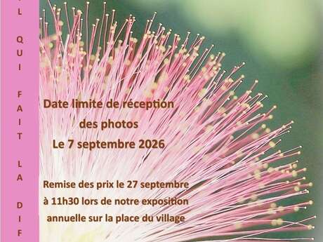 Concours photos
