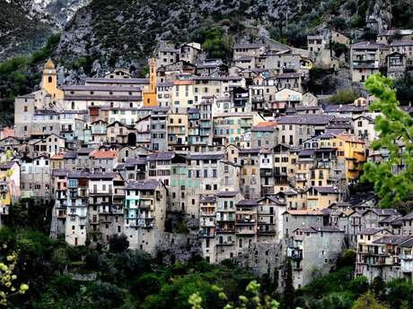 Pâtes d'olives et produits de Saorge - Abel Pottier