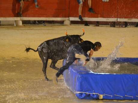Taureau - piscine et clowns