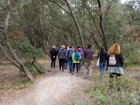 Éco-balade : De la Chênaie de Lavalduc vers les Salins de Rassuen