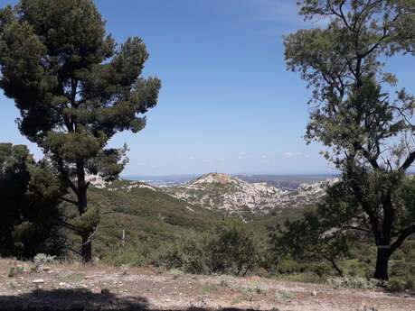 Sortie nature du Muséum : le Rove/massif de la Nerthe