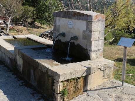 Fountain  of Les Henry