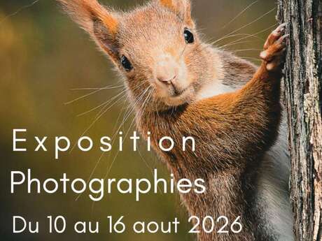Exposition Faune et Paysages de Serge Gazzano