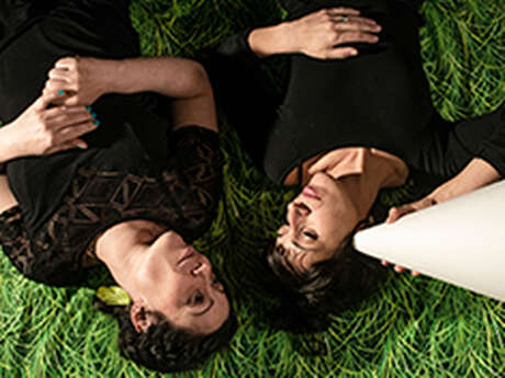 Spectacle - Des fourmis dans les nageoires