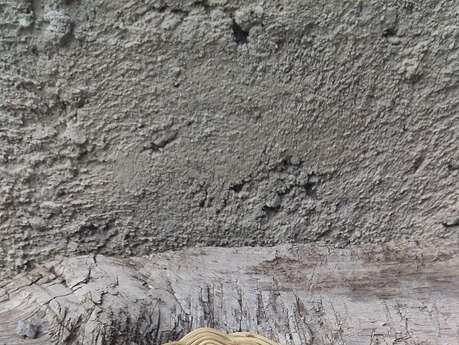 Atelier de vannerie - L'Escoube