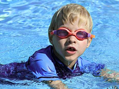 Les Dauphins du Plateau