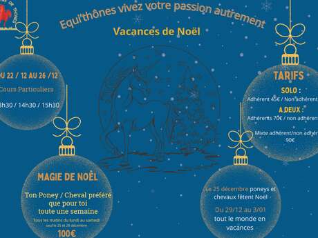 Vacances de Noël au centre équestre