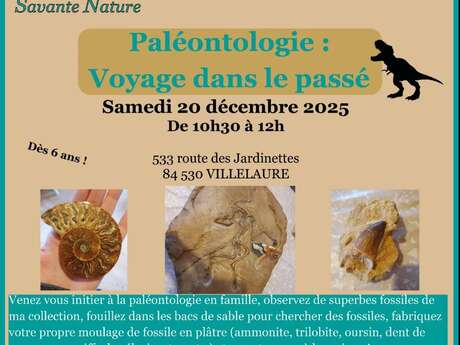 Savante Nature : Animation sur la Paléontologie  : voyage dans  le passé à Villelaure