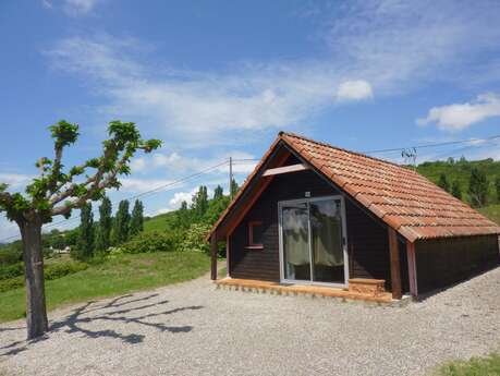 Chalet L'Aster des Pyrénées OTVAL