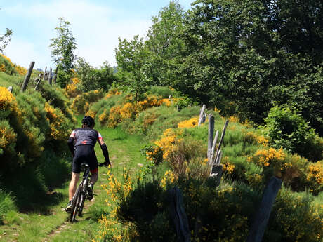 Circuit VTT : Les barrages