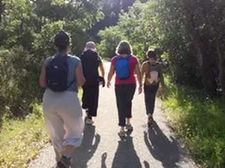 Immersion en forêt à la découverte de sa biodiversité