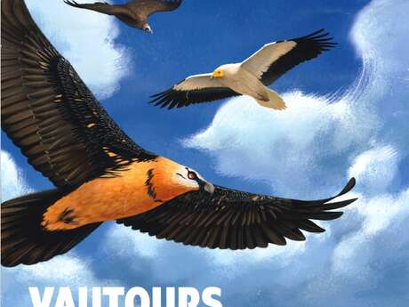 Journées mondiales des vautours
