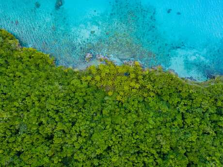 Lifou nature hike