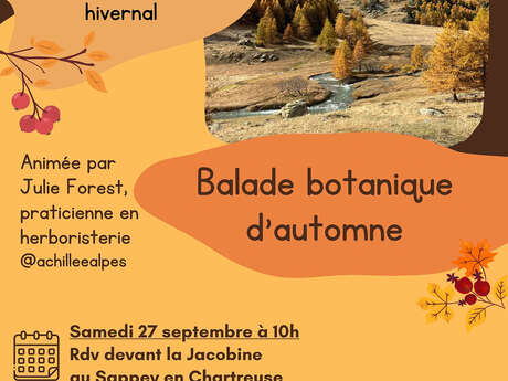 Balade botanique d’automne