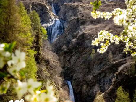 Festival de l'Alpage : Randonnée en alpage vers le vallon de l"Aup