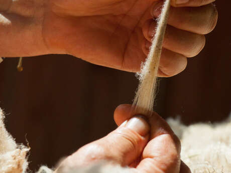 Atelier création de fleurs en laine feutrée à la Ferme du Lambert