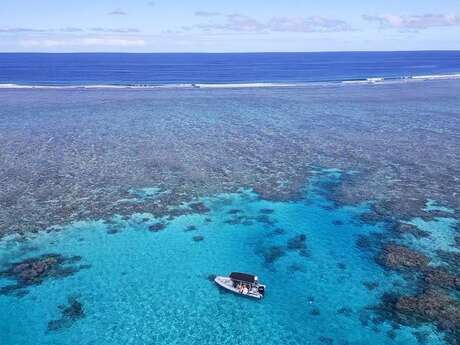 Snorkelling - Eden Blue Caledonia