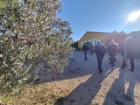 Treffen mit einem Olivenbauern auf der Domaine Plan de Fossan