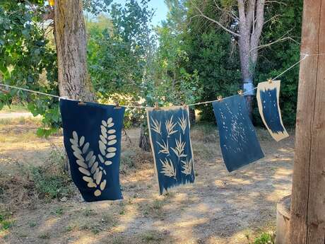Atelier cyanotype