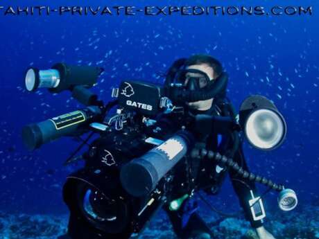 Tahiti Private Expeditions - Whale watching tours