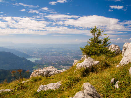 Le Plateau du Parmelan