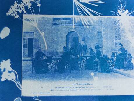 Les ateliers de l'été : Atelier cyanotype