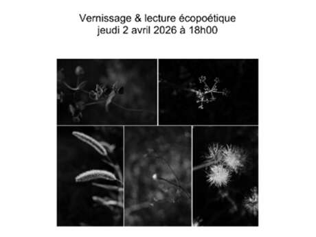 Vernissage de l'exposition de photographies "Les insignifiantes" de Perle Vallens