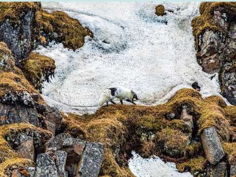 Ausstellung "50 Jahre Emotionen" des Clubs Phot'Azur