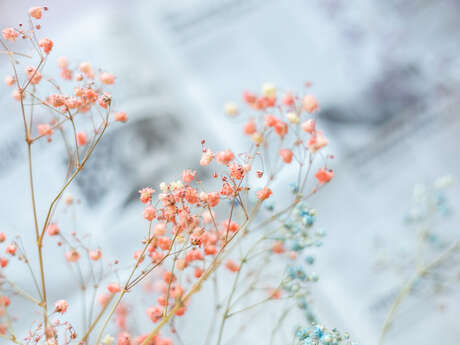 Atelier Création Florale à Faucon du Caire : pipettes d'hiver