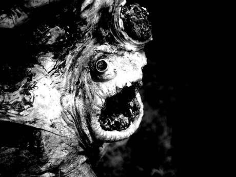 Exposition de Christian Jaillot