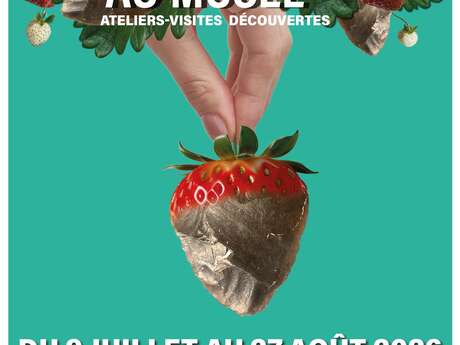 Vacances d'été au Musée d'Apt