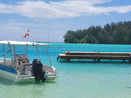 Moorea Evasion - Whale watching tours