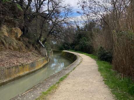 Balade découverte des plantes sauvages et médicinales