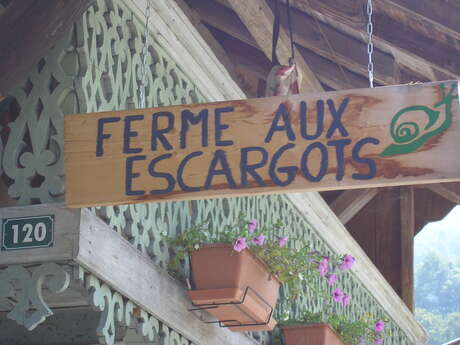 Helixa la ferme aux escargots