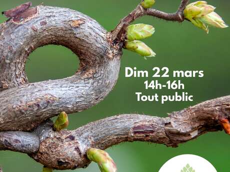 Les Ateliers des Babets : balade d'Ostara