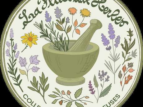 ATELIER AROMATHERAPIE PERFECTIONNEMENT Système respiratoire