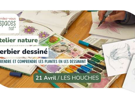 Atelier nature - Herbier dessiné