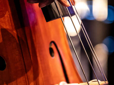 Konzert : Koninklijke Biltse Harmonie