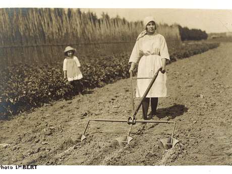 Le Pays du Melon - Exposition