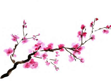 Atelier : crée ton haïku